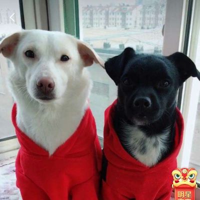 安装与维修
