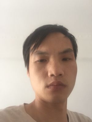 硅藻泥施工