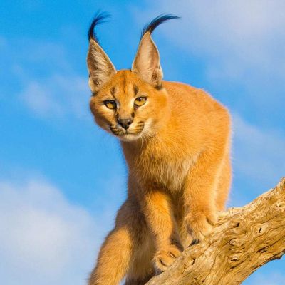 水电安装维修水电工水电工水电工