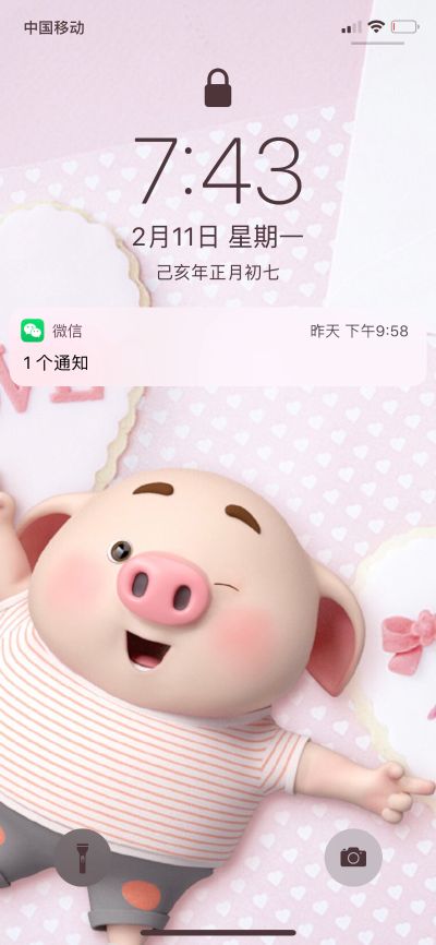 赵又廷