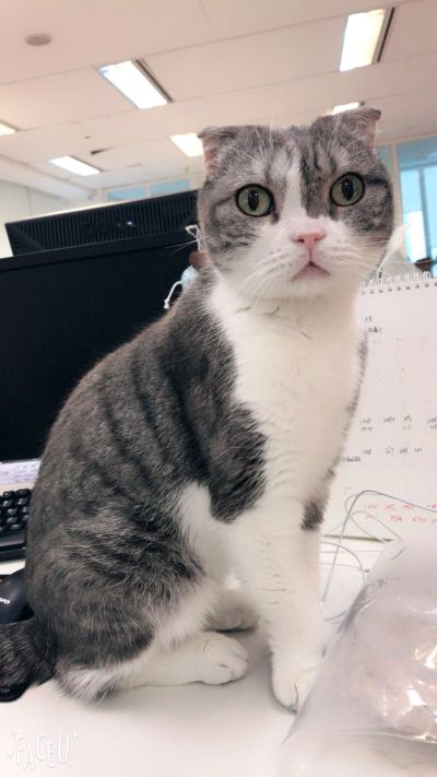 家居家具