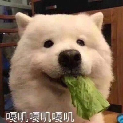 灯坏了