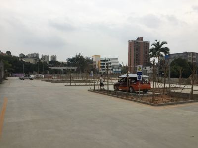 汽车驾驶