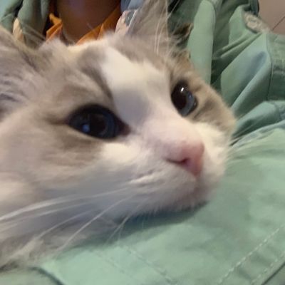 商务