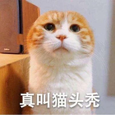 浴室镜