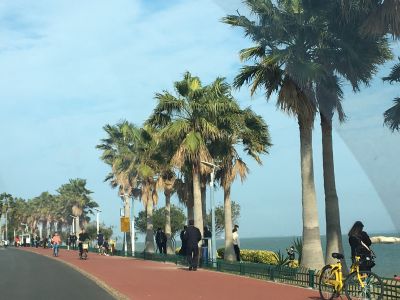 室内装饰