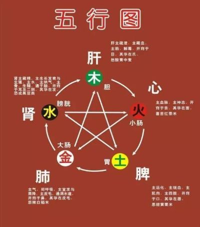 服务