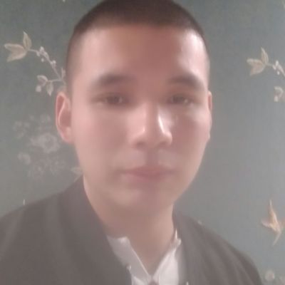 贴墙纸墙布贴墙纸墙布