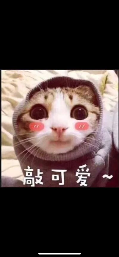 清洗油烟机