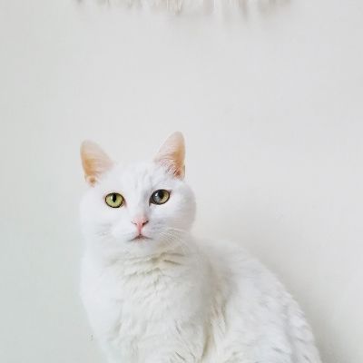 油漆工