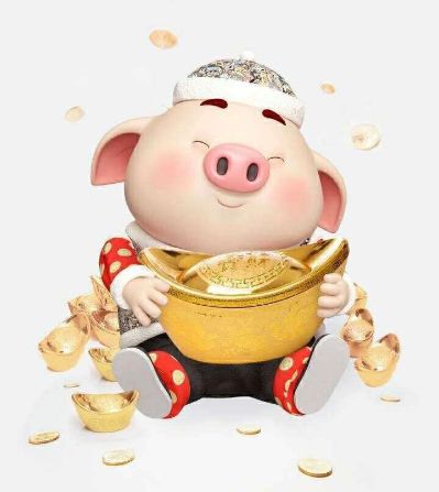 我是专门安装灯的；欢迎派单～