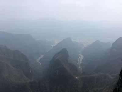 市场