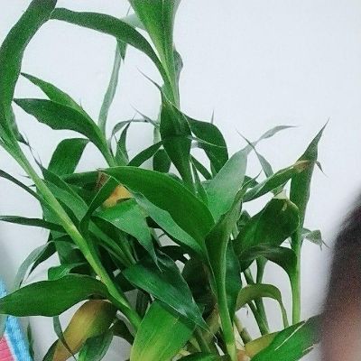 维修各种家电