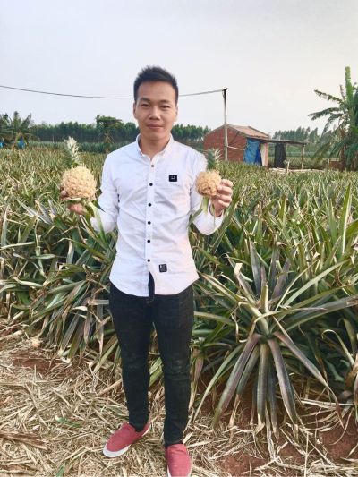 业务