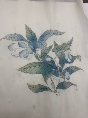 职员