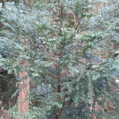 水电水电安装维修