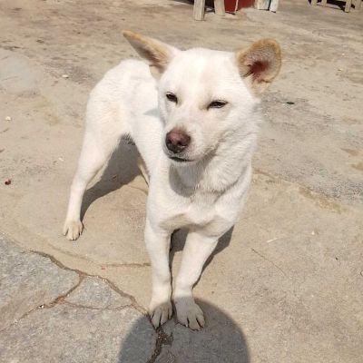 政通科技电脑维修系统安装