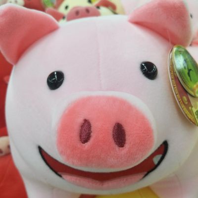家政搬家