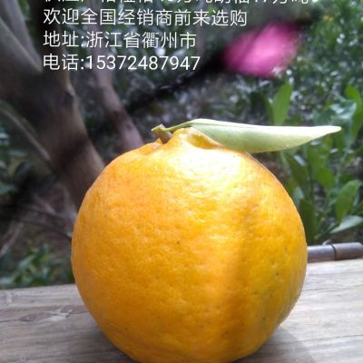 指纹锁安装