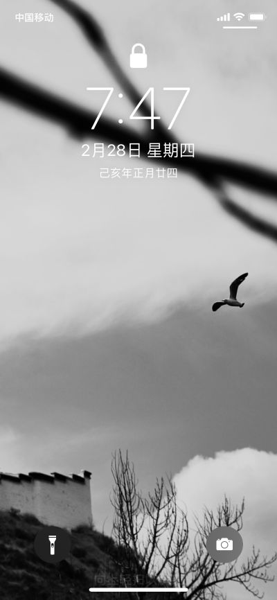 安装