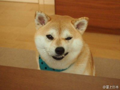 哈哈哈