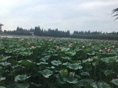 制造业