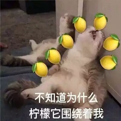 派单充场服务