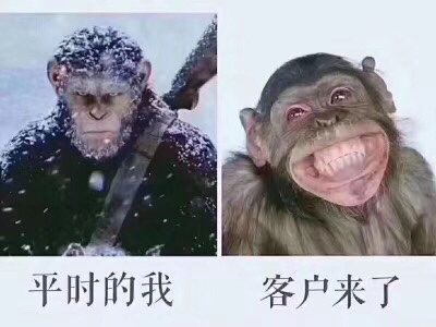 室内装修