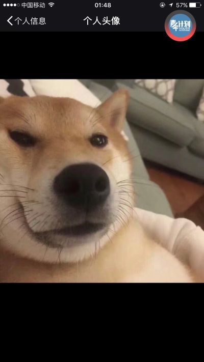家具安装