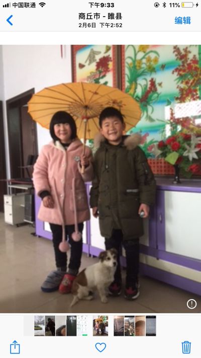 耐磨水泥收光