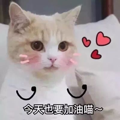 安装工