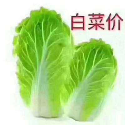 鱼缸安装护理