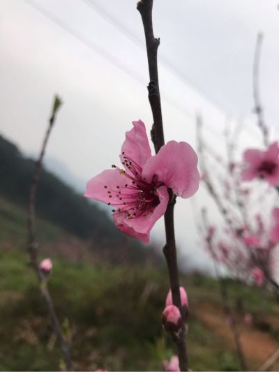 水电整体装修