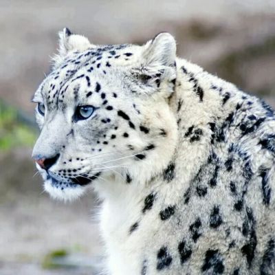 装修建筑装修建筑防水