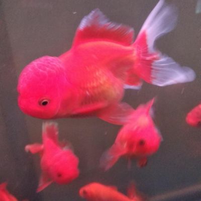 维修安装灯具安装卫浴安装专业美缝