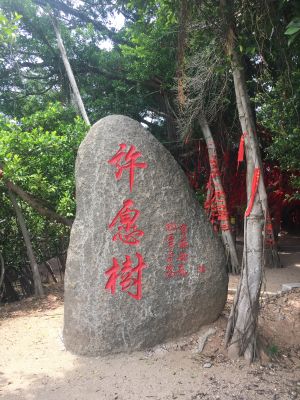 室内装修