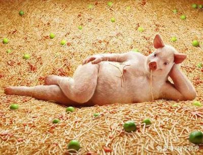 保洁客房民宿保洁