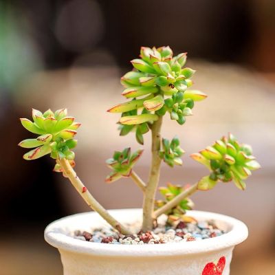 焊工