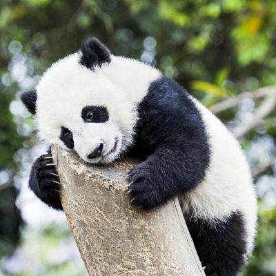 司机杂活