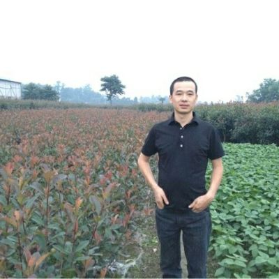 家具销售