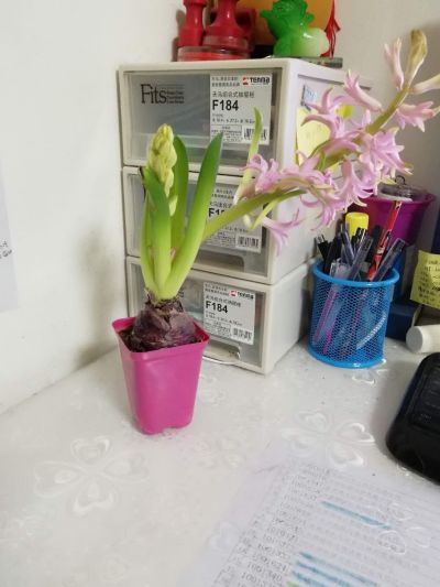 安装维修