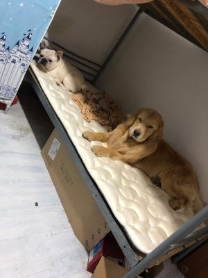我们