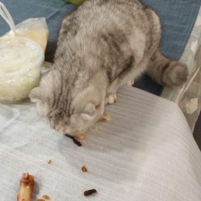 家具安装配送