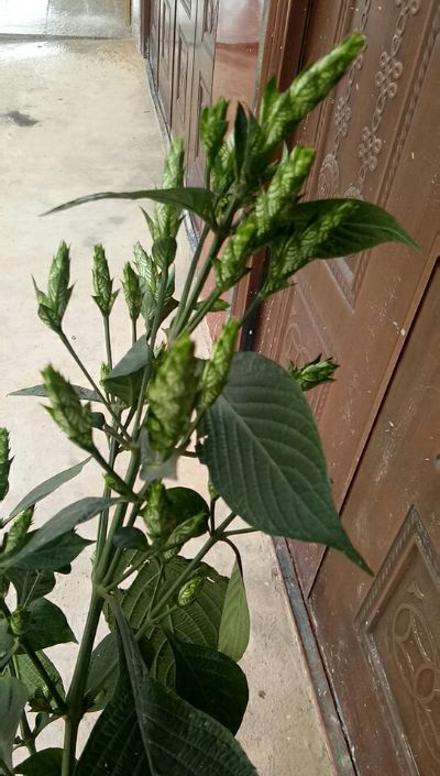 机器翻新喷漆机器翻新喷漆机器翻新喷漆