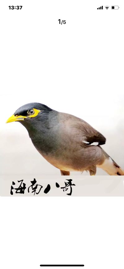 家具