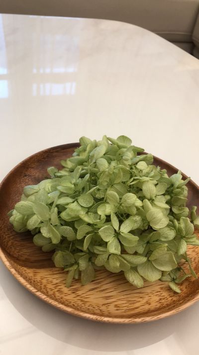 掛畫