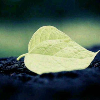 家具家居家具家居维修