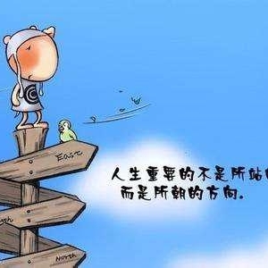 项目申报文稿