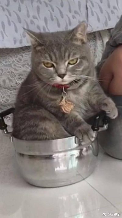 家具安装