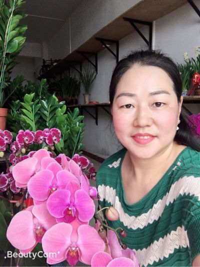 花木绿化